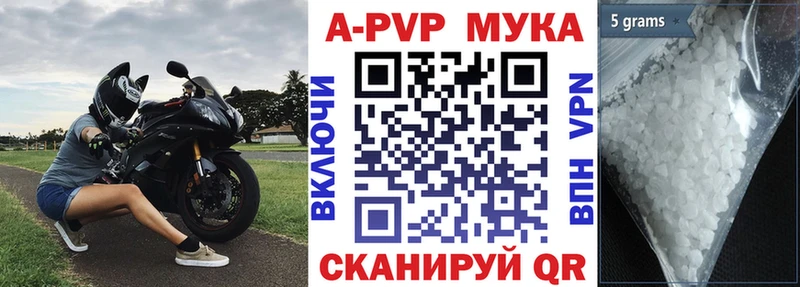 Купить закладки  Приозерск  Alfa_PVP СК 