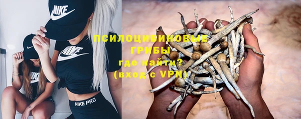 круглые Гусев