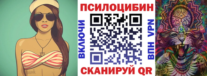 Псилоцибиновые грибы GOLDEN TEACHER  Купить закладки  Приозерск 